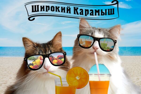 img4513572.png