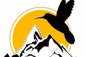 Логотип мотомастерской