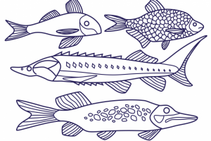 Векторные паттерны