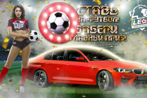 Инфографика