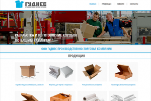 Разработка сайта для компании "Гуднес"