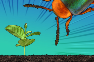 Баннер для поста в ТГ