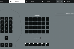 Копия инвентарь Arizona V