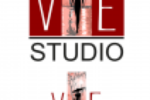 Вариант логотипа для студии