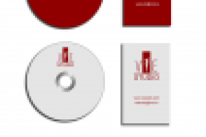 Вариант фирм стиля для студии