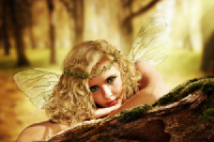 Лесная фея