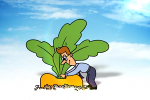 Ярославское палаты