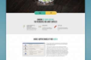 Работа 2987442