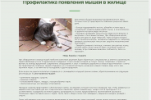 Профилактика появления мышей