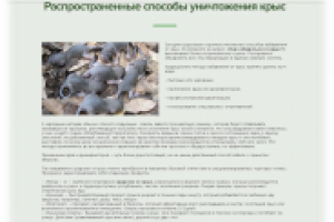Распространенные способы уничтожения крыс