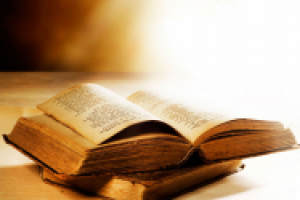 Отрывок из книги