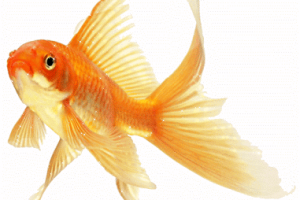 МАГИЯ ЧИСЕЛ. НЕ ВЕРИТЕ, ЧТО ЭТО РАБОТАЕТ? ПОПРОБУЙТЕ САМИ!!!