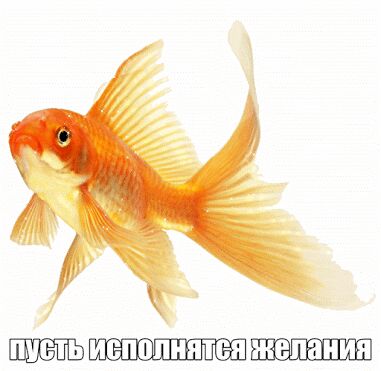 img4589105.png