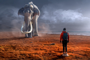 Huge Elephant (Ambiance)