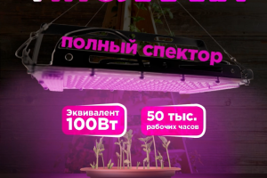 Инфографика