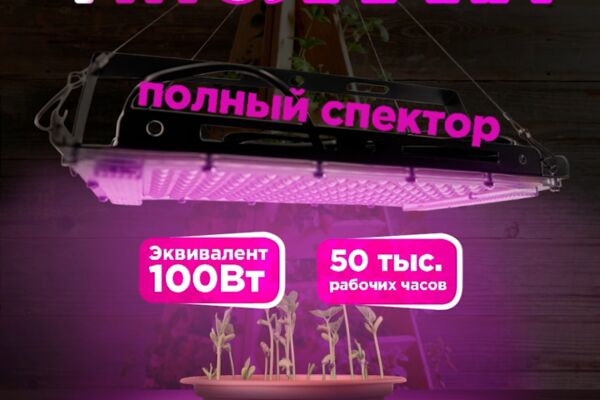 img4608797.png