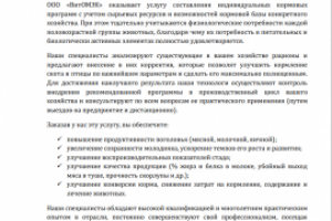 Описание услуги компании