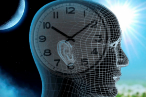 Биоритмы: что это и зачем их нужно нормализовывать