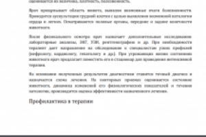 Прием терапевта в ветеринарной клинике