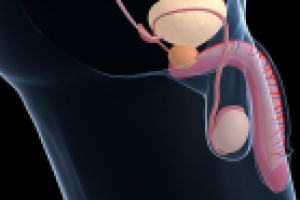 Лечебный массаж простаты