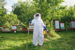 Пчеловод