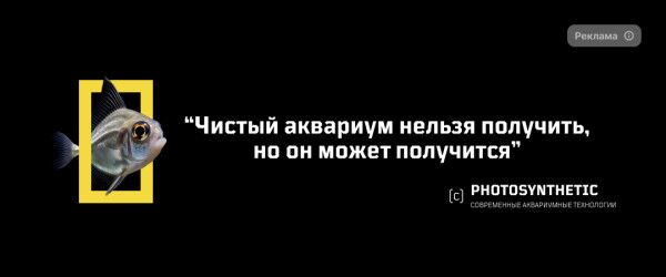 img4599223.png