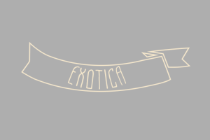 Подборка созданных мною логотипов