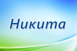 Значение имени Никита