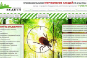 Дезинсекционная компания 'СЭФИнг'