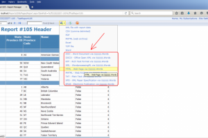 031 - Расширения для SQL Server Reporting Services