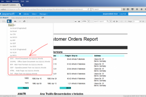 032 - Расширения для JasperReports