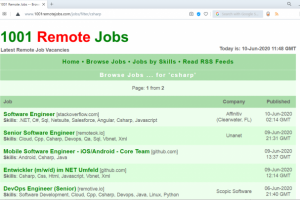 034 | 1001 Remote Jobs website