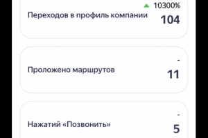 Кейс СЕРМ продвижения салона красоты