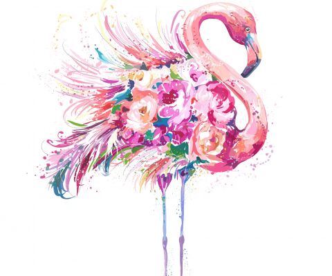 img4421616.png