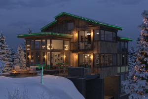 Новогодняя визуализация