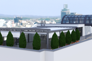 Визуализация перголы на крыше