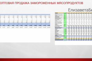 Финансовая модель