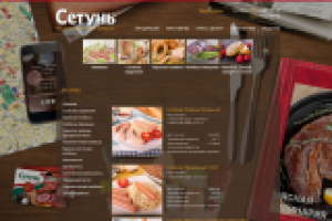 верстка сайта setun.com
