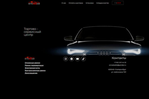 Интерент-магазин автоаксессуаров