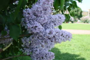 Работа 1849833