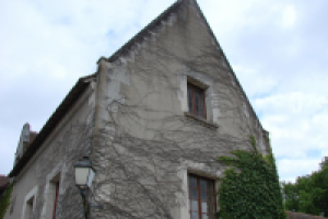 вид на дом,покрытый плющом