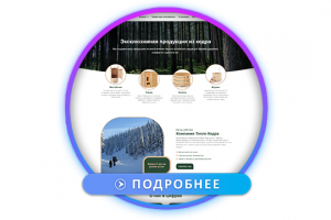 Кедровые бочки