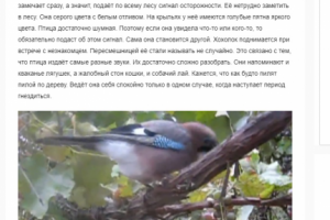 Статья "Сойка-пересмешница– красивая и достаточно активная птиц"