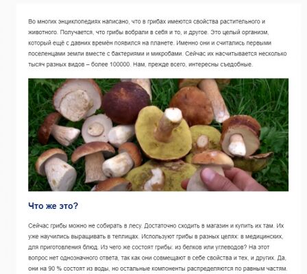 img4019564.png