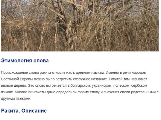 img4019588.png
