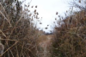 Работа 3060102