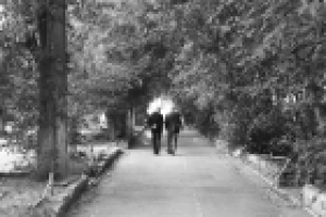 Работа 3060095