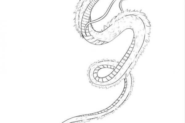 img4474006.png