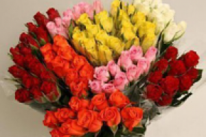 Оптовые поставки цветов из Эквадора