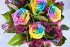 Радужные розы